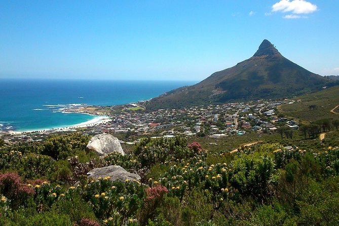 Pipetrack Hike for the Whole Family on Table Mountain - PRIVATE - Exploring Table Mountains Wonders