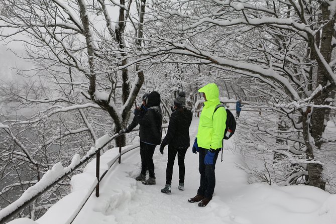 Plitvice Lakes Frozen Landscape Private Hiking Day Trip From Zagreb