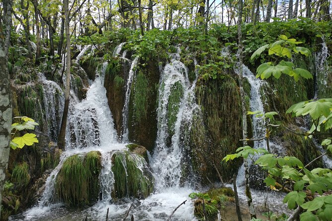 Plitvice Lakes Private Tour From Zagreb