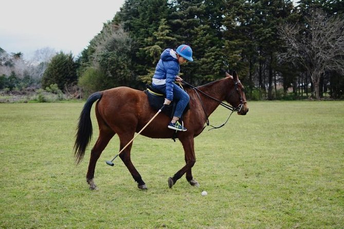 Polo Day in Pilar, Buenos Aires
