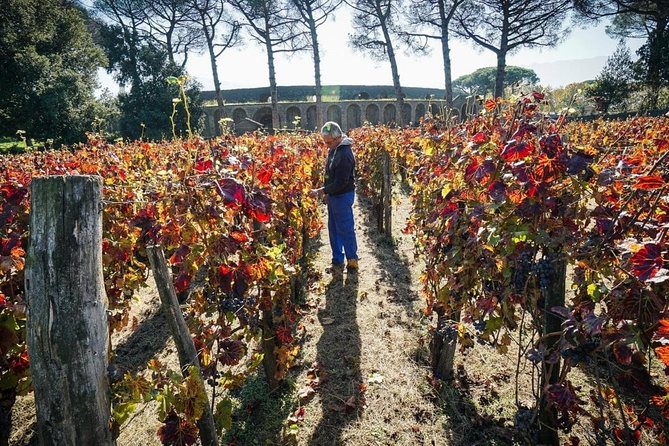 Pompeii Visit With Food and Wine Tasting Near Mt. Vesuvius