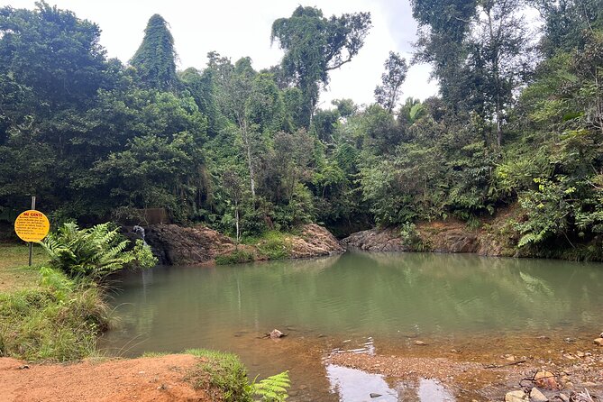 Pork Highway & Cayey Cultural & Gastronomical Experience