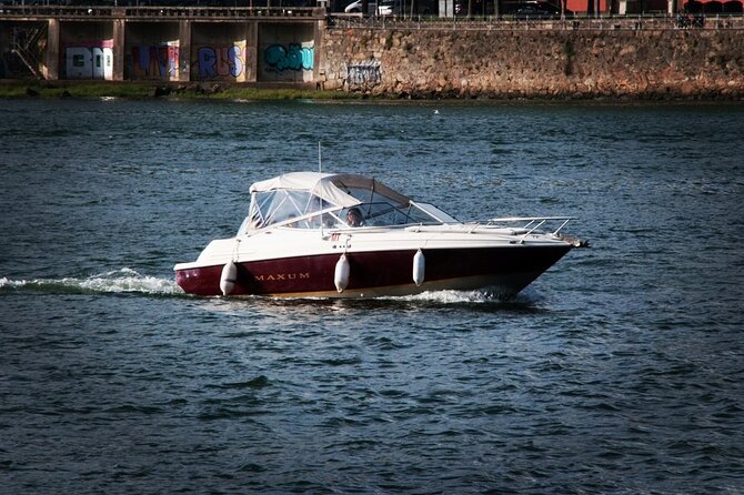 Porto: Private Tour to D. Luís Bridge (1h), Group Price up to 6px