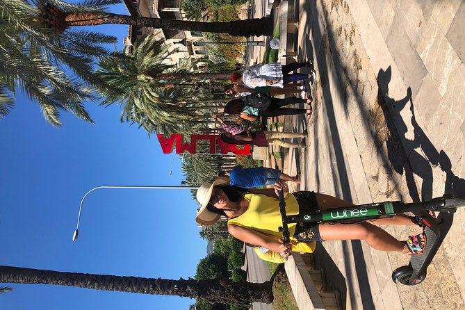 Premium Electric Scooter Rental With Optional Delivery
