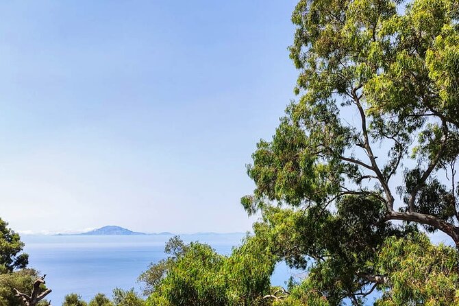 Premium Private Trip to Gibraltar From Seville (Various Options)