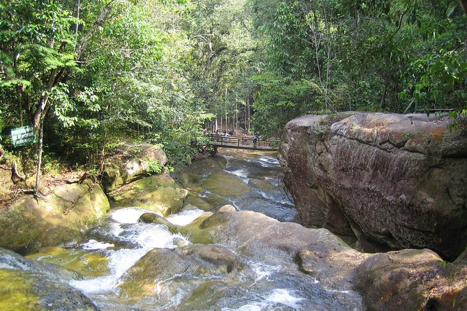 Presidente Figueiredo Waterfalls Day Trip From Manaus - Overview of the Tour