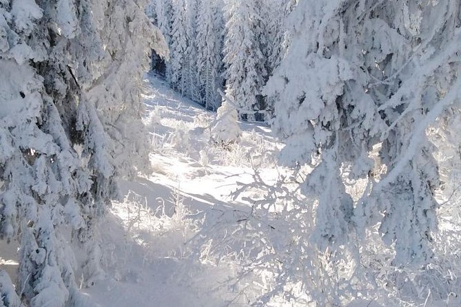 Private 2-Day Trip With Snowshoes