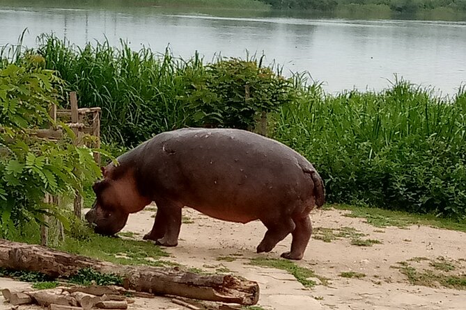 Private 3-Day Tour in Queen Elizabeth Park Safari - Tour Highlights