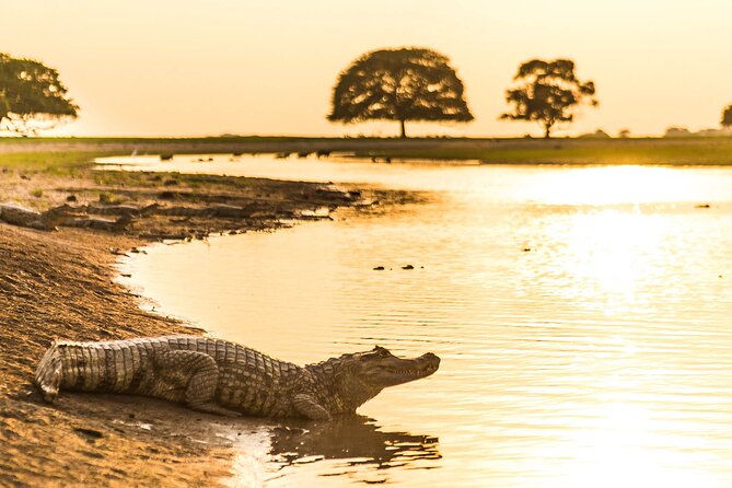 Private 4-Day Llanero Safari Tour in Enchantment