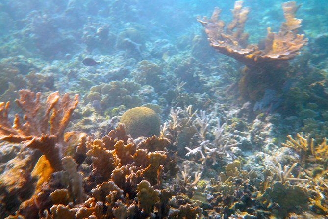 Private Afternoon Snorkel With Sunset Sail in Key West