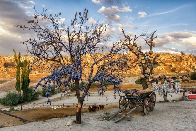 Private Arrival Transfer From Kayseri Airport to Cappadocia Hotels