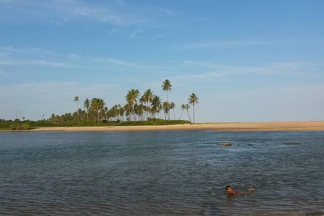 Private Beach Buggy Tour - Praia Do Forte by Emytour - Tour Overview