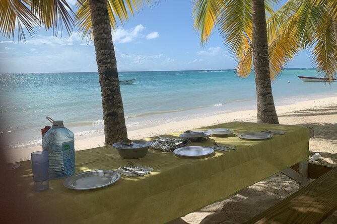 Private Boat Nature Tour of Saona Island