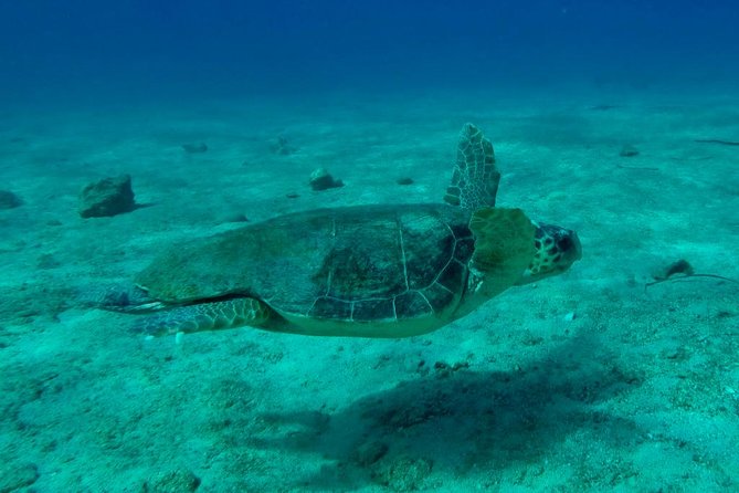 Private Boat Tour to Kekova and Sunken City From Antalya Incl.Transfer