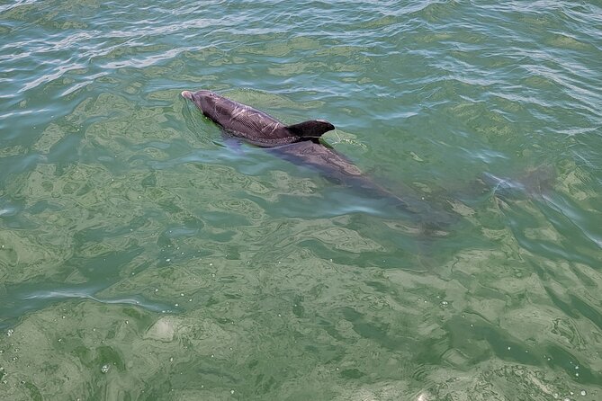 Private Boat Tour up to 12 People Fort Myers Beach and Sanibel