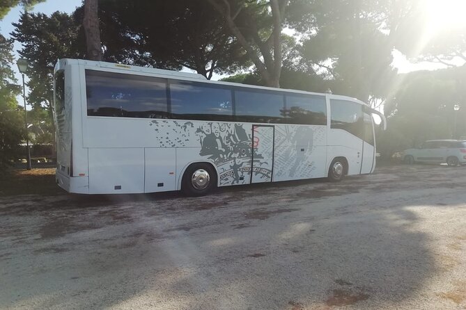 Private Bus From Venice Hotels+ Water Taxi to Trieste Cruise Port