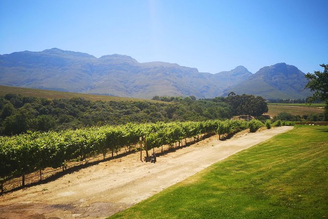 Private Cape Winelands Tour From Cape Town