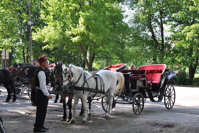 Private Carriage Ride in Vrelo Bosne Nature Park - Pickup and Accessibility