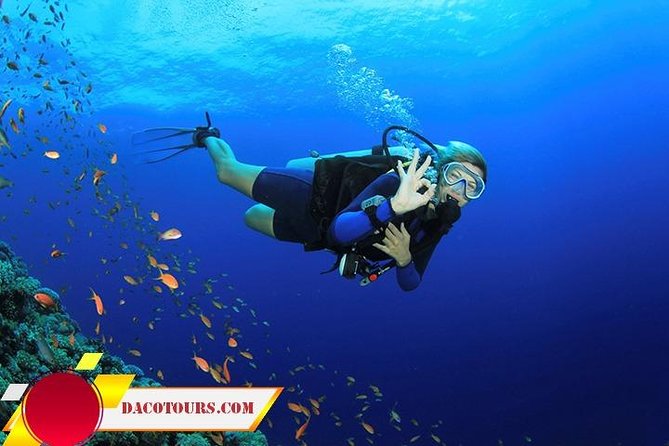 Private Cham Island Snorkeling Tour, Nice Beach, Fishing Villages - Culinary Delights