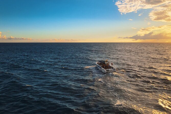 Private Charter 3 Hours Whale Encounter Puerto Colon Adeje