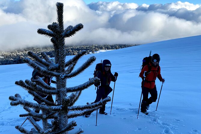 Private Climb to Llaima Volcano