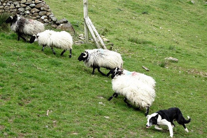 Private Connemara Day Tour