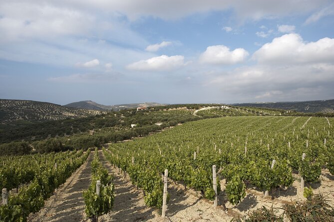 Private Cretan Gastronomic Experience Winery Visit With Tastings & Cooking Class - Sample Menu