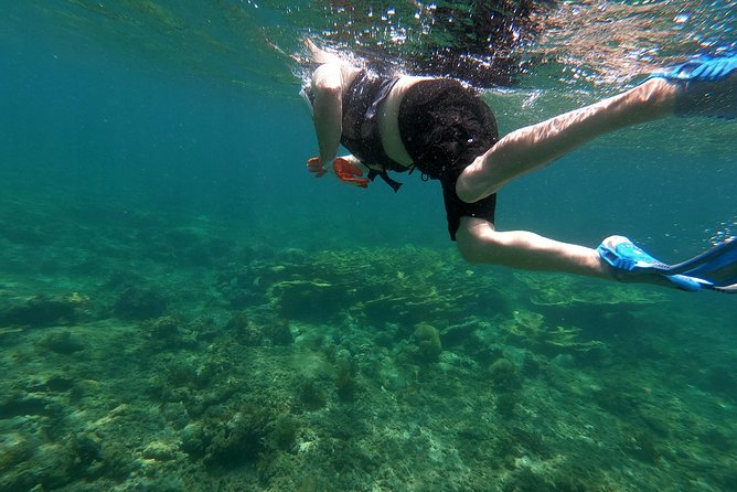 Private Customizable Tour of Puerto Rico