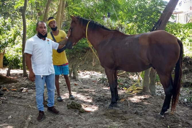 Private & Customize Tour to Martha Brae Rafting and Horseback Riding N Swim