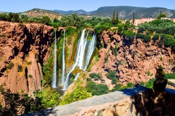Private Day Trip to Ouzoud Waterfalls From Marrakech