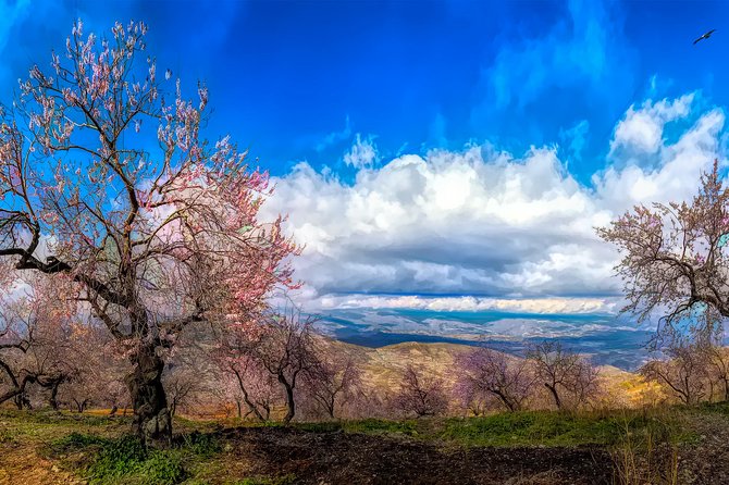 Private Day Trip to Sierra Nevada From Granada With a Local