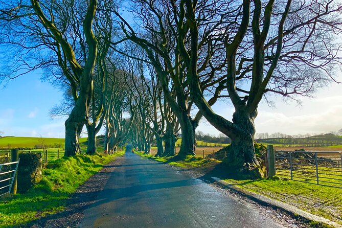 Private Day Trip to the Dark Hedges & Giants Causeway From Dublin