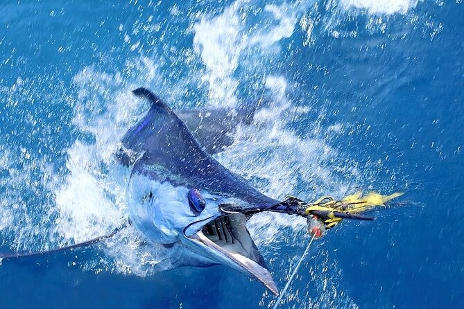 Private Deep Sea Fishing in Montego Bay - Gearing Up for Adventure