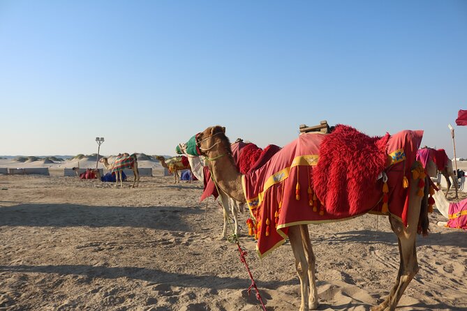 Private Desert Safari Tour 4 Hours