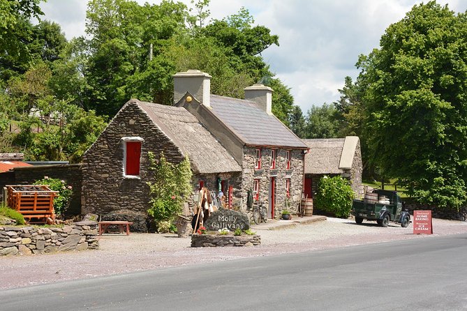 Private Dublin Tour for Families With a Local, 100% Personalized