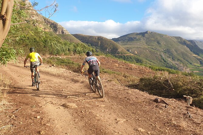 Private E-Bike Cape Town MTB Trails With a Pro