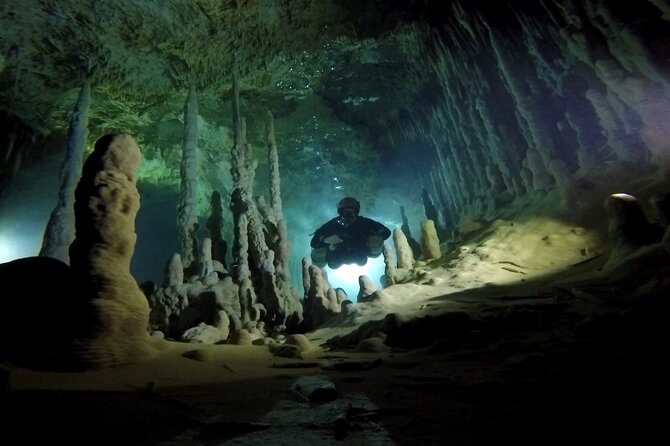 Private Full-Day Cenote Diving Experience 2 Dives With Lunch