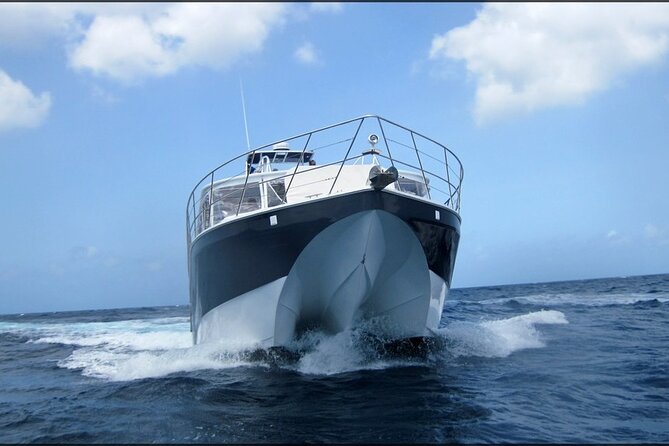 Private Full Day Fun Charter Aboard MV Sea Wolf