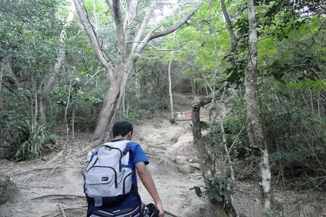 Private Full-Day Hike Tour Telegraph Stone and Beaches – Transport Included
