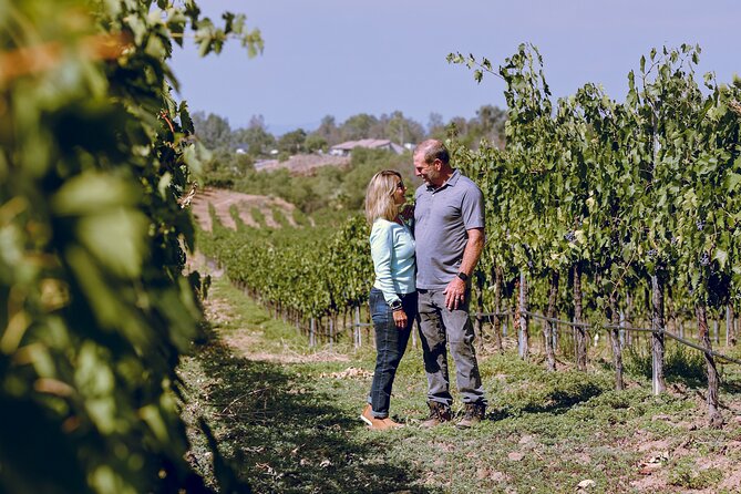 Private Full-Day Luxury Transportation From Sonoma