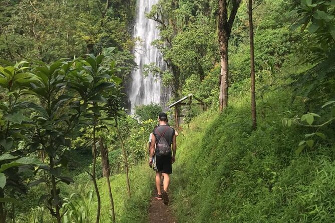 Private Full-Day Materuni Waterfalls and Kikuletwa Hotspring