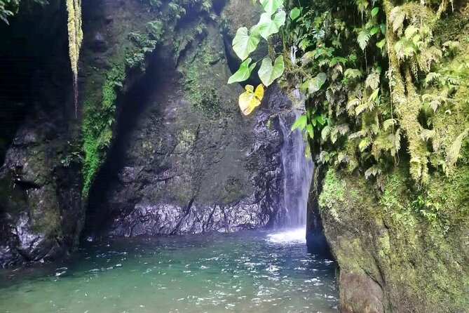 Private Full Day Tour From Quito to Mindo