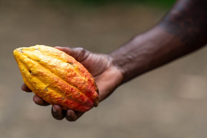 Private Full-Day Tour in Grenada With Pickup