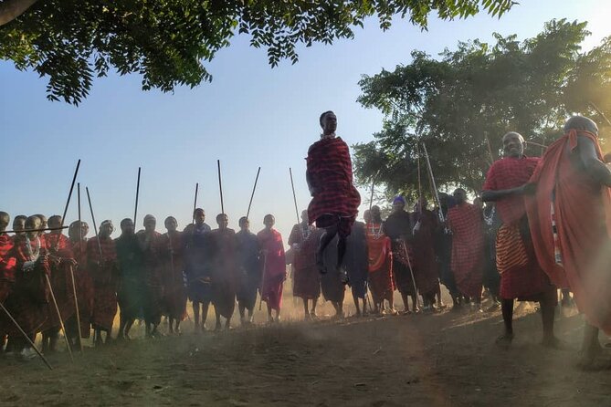 Private Full-Day Tour Maasai Village and Kikuletwa Hot Spring