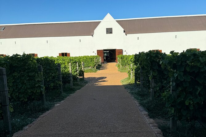 Private Full Day Wine Tour: Stellenbosch and Franschhoek & Paarl