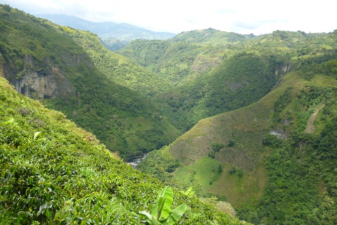Private Guided Rafting on Magdalena River