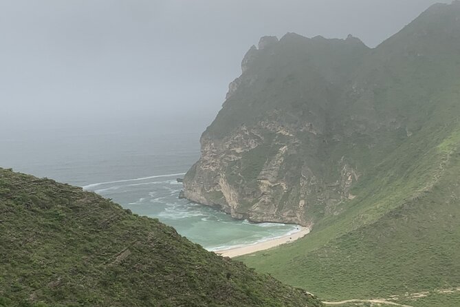 Private Guided Tour to West Beaches of Salalah - Tour Highlights