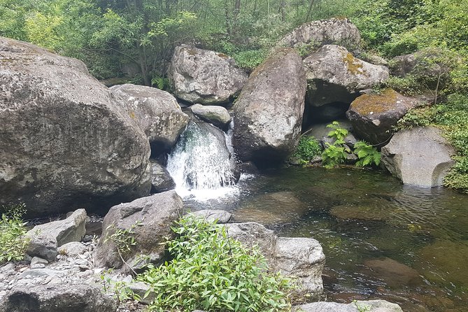 Private Guided Walk Levada Castelejo