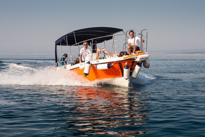 Private Half Day Boat Trip to Plavnik Island - Overview of Plavnik Island