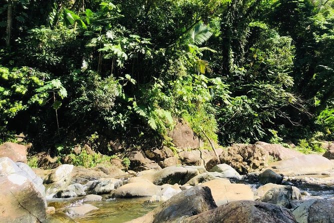 Private Half-Day Puerto Rico Island of Enchantment Beach and Jungle Adventure - Discover El Yunque Rainforest
